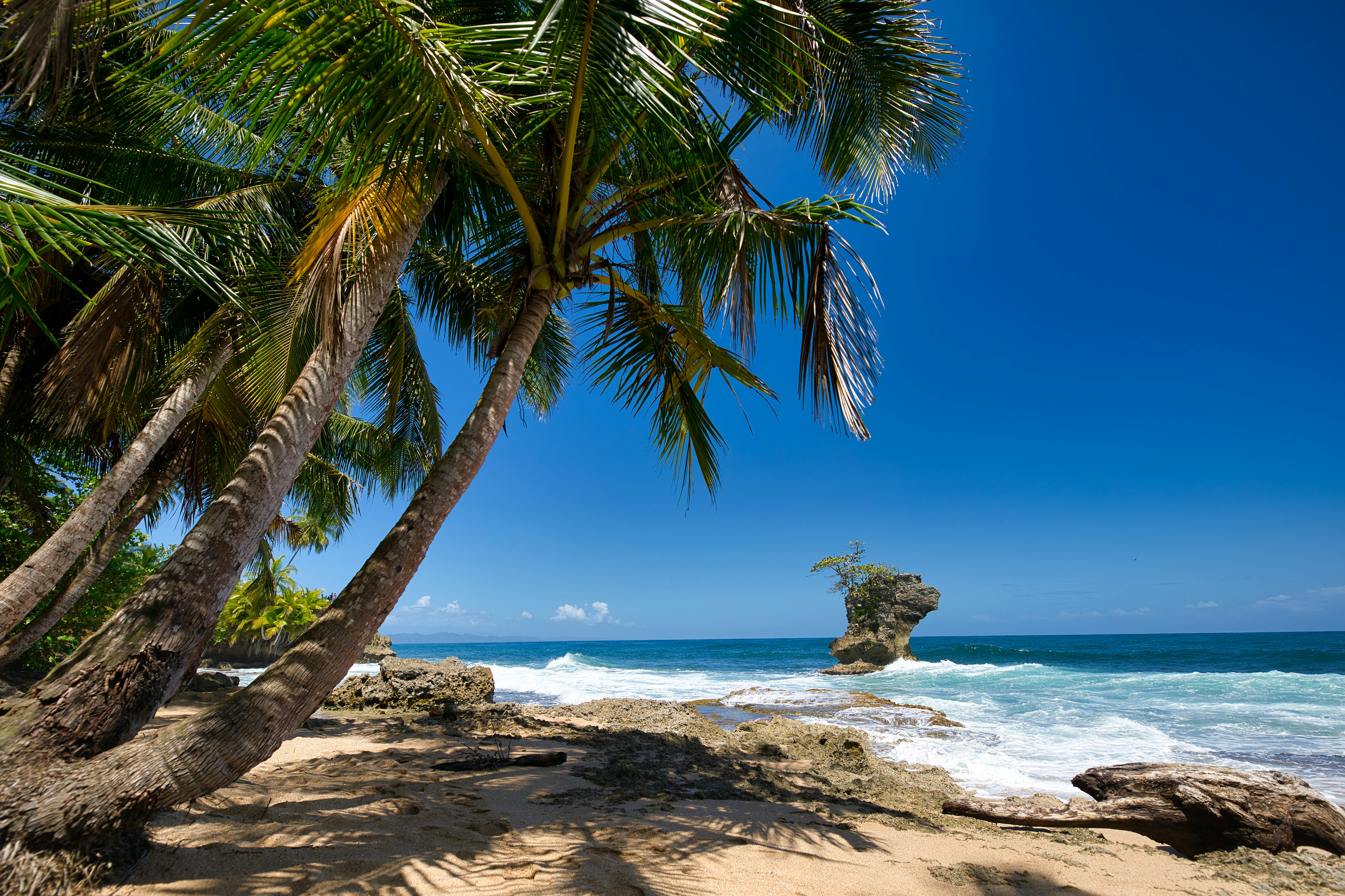 Costa Rica Real Estate Market Trends 2025: What Buyers Need to Know