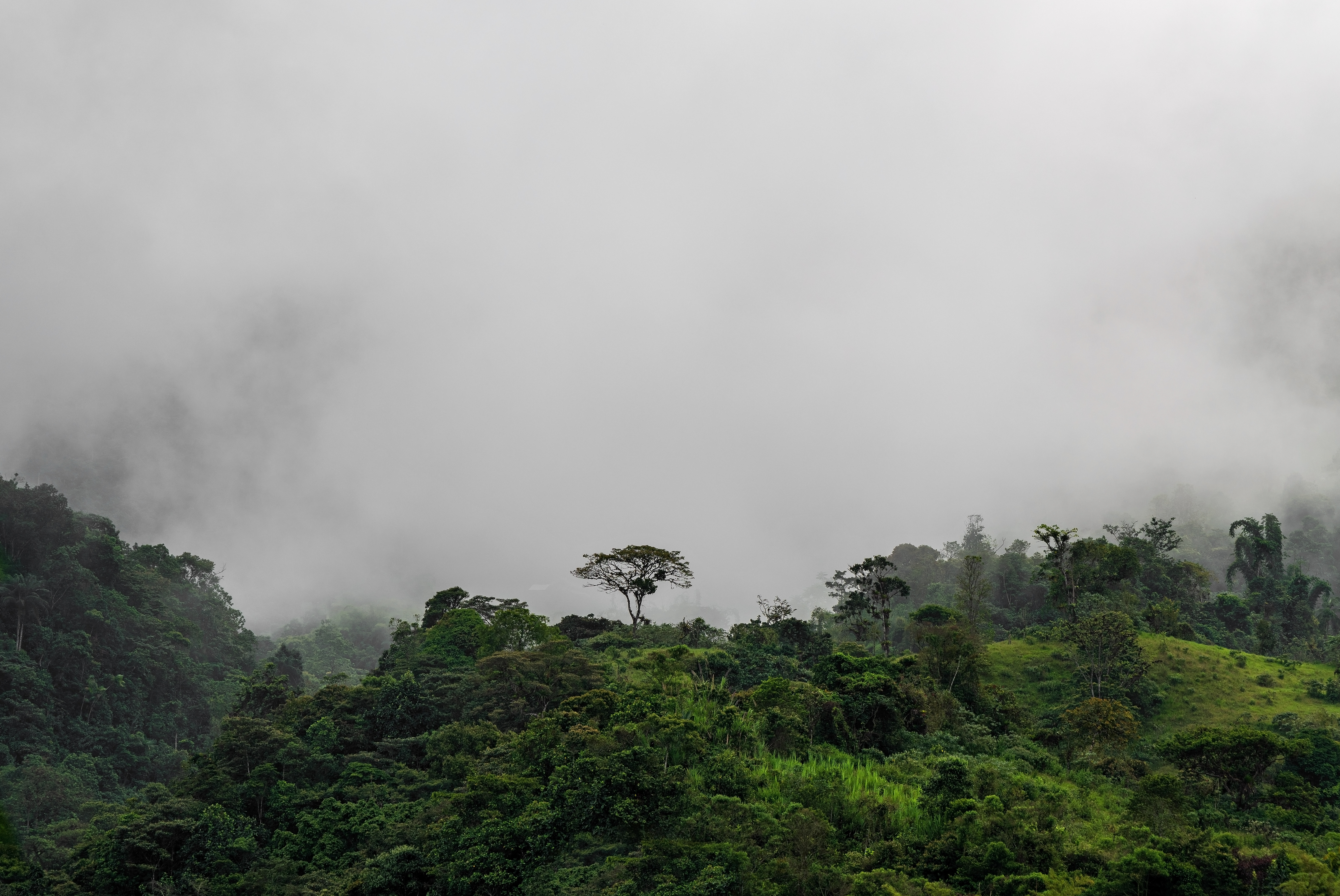 Why visit Costa Rica in Green Season: A Nature Lover's Paradise